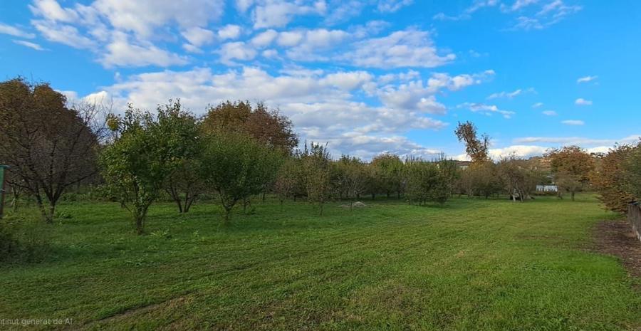 Teren Intravilant 2497 mp. Ideal pentru o constructie rezidentiala!!! - 1
