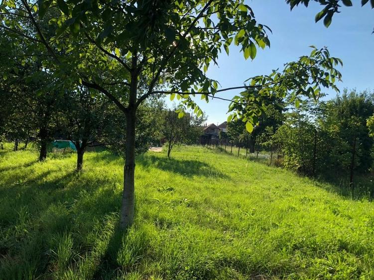 Braytim casa parter (3cam) + casa P+1E rosu (5cam) - teren 1942 mp - 13