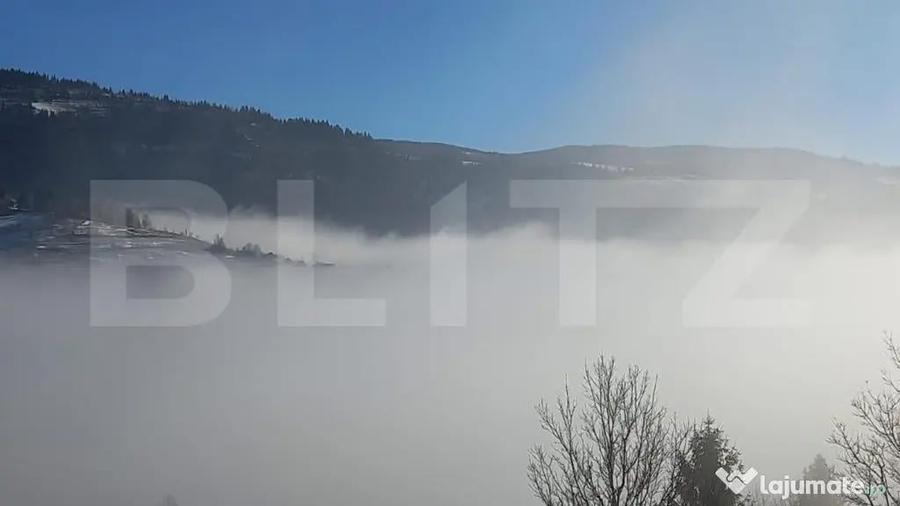 Teren de vanzare in Mun?ii Apuseni 10.831 mp, zona m - 2