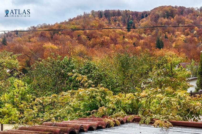 Casă ideală pentru familie, curte, zona parcare, in apropiere de natură, Noua - 15