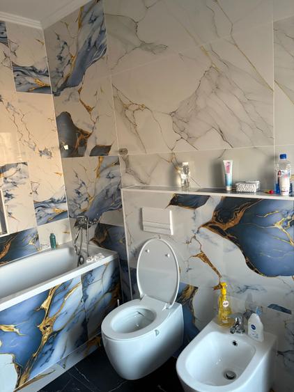 Vand jumatate de duplex in Sag, zona Manastire - 7