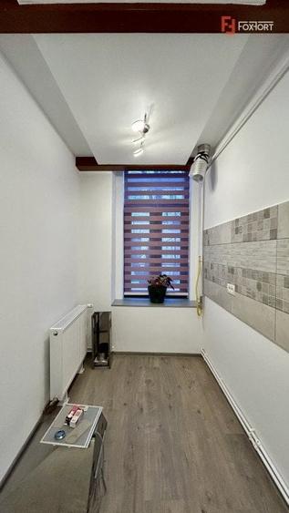 Apartament de inchiriat cu 2 camere in centrul Timisoarei - 7