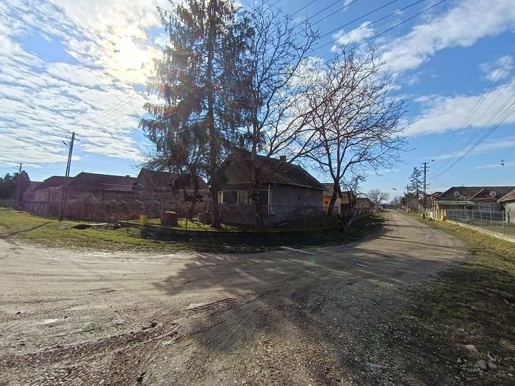 Casa de vanzare Gura Ariesului - 3