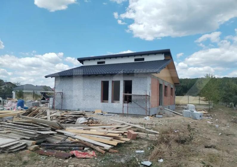 Vila individuala pe parter Priseaca - 14