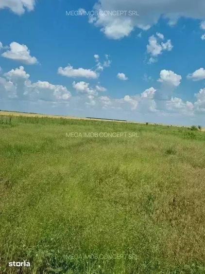 Teren de 428.99 mp, în Brănești
