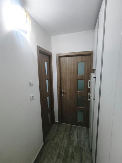 Garsoniera  LAPUS-ARGES/etaj 3/renovata /mobilata - 4