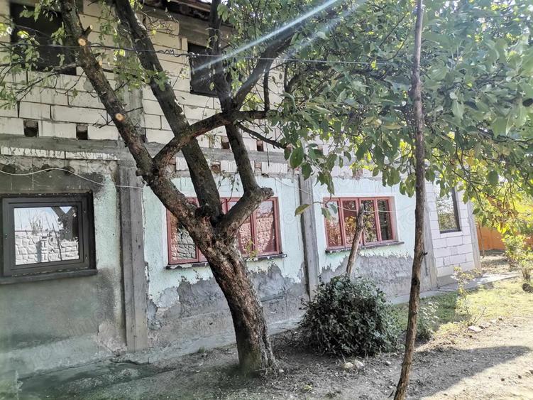 Vand casa Ghindeni - 3