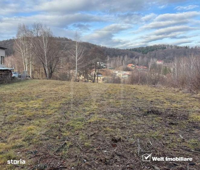 Teren spectaculos, intravilan, Feleacu, zona linistita, padure + para - 2