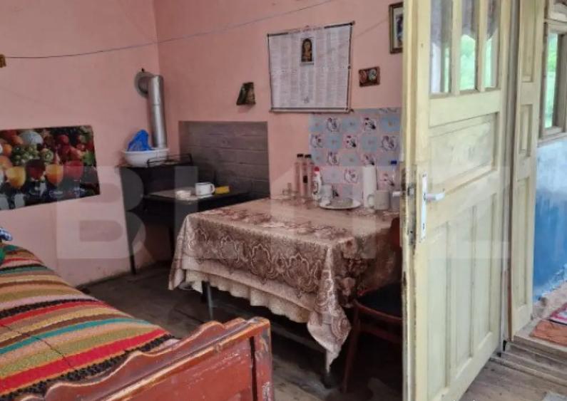 Casa la tara in Beudiu, comuna Nu?eni + teren arabil - 9
