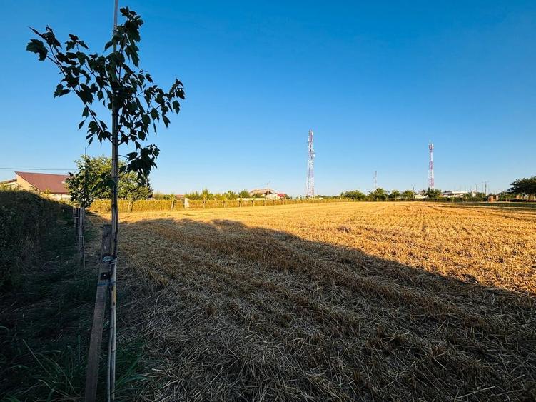 Strada Brebenei 1, Lilieci, Ialomita - 2