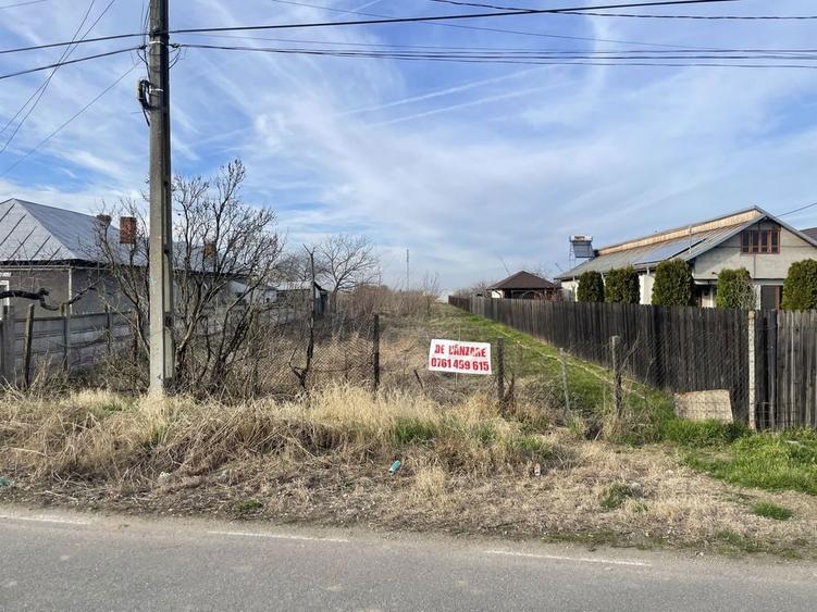 Teren Plesoiu(Arcesti Cot) - 3