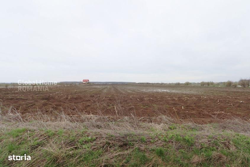 Teren 4000 mp langa Padurea Petresti | Investitie dezvoltare | Corbean - 1