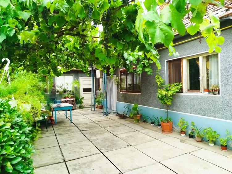 Casa de vanzare in Gradiste - 2