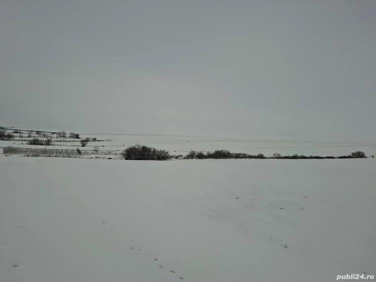 Preiau teren in arenda - 1