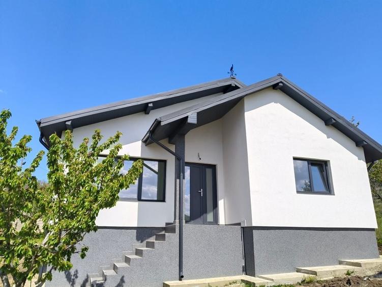 Vila casa Tomesti - 7