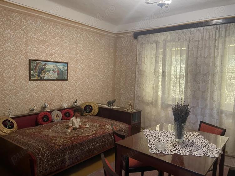 Vand casa in Sanmartinul Sarbesc - 4