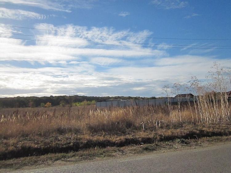 Teghes-Caragea Voda - 15