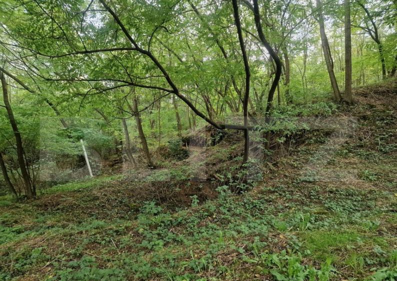 Teren intravilan 7.9 ha. Sandra - 5