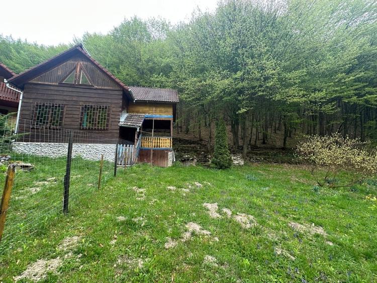 Cabana 5 camere, 75 mp| teren 900 mp| zona Iezer Ighiel - 1