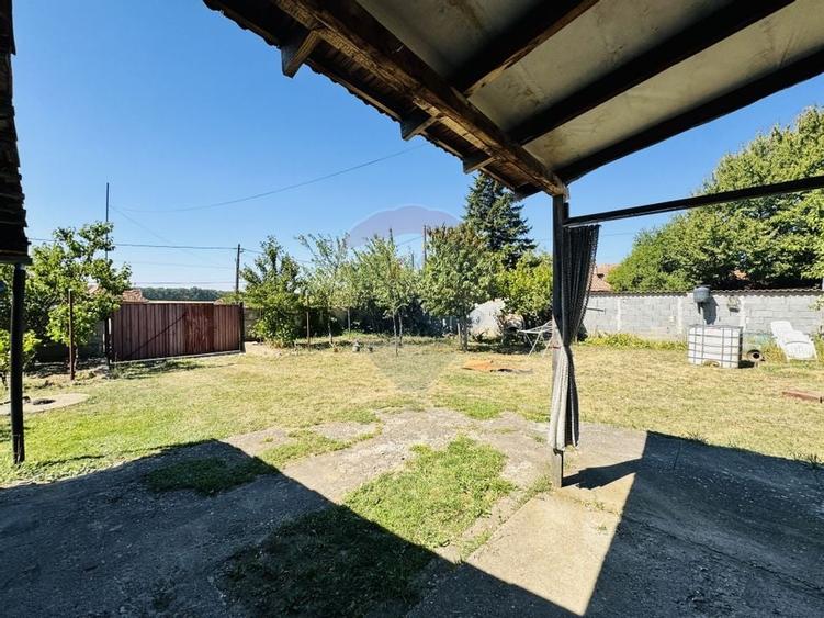 Teren 6,210mp Apateu / Strada Principala - 15