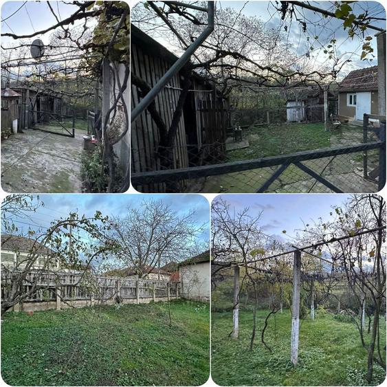 De vanzare casa cu 4 camere in Tinca - 4