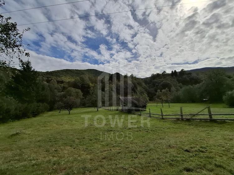 Teren Intravilan de Vânzare – 3622 mp – Râu Sadului - 2