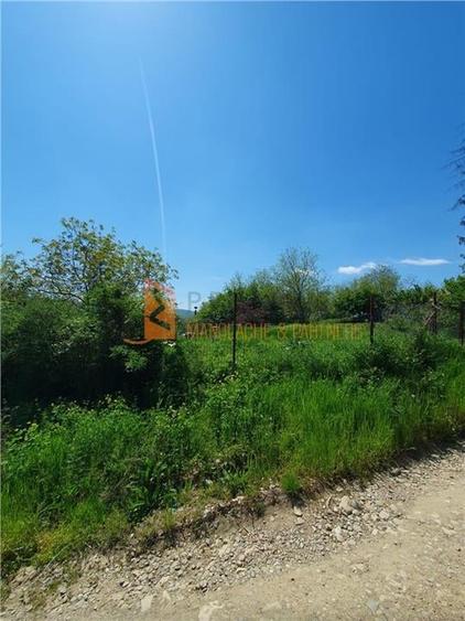 EXCLUSIVITATE! Casa cu teren zona Parscov - 27