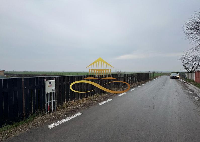 Teren de vanzare Filipesti Bacau 6838 mp - 11