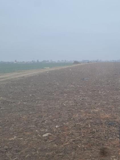 Vanzare Teren 5000mp intravilan Magurele - 1