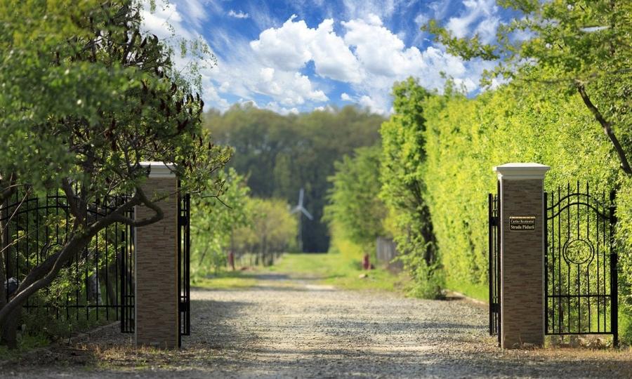 Un Domeniu Unic Lângă București. Luxul Pe Un Singur Nivel: Vilă De Vânzare - 49