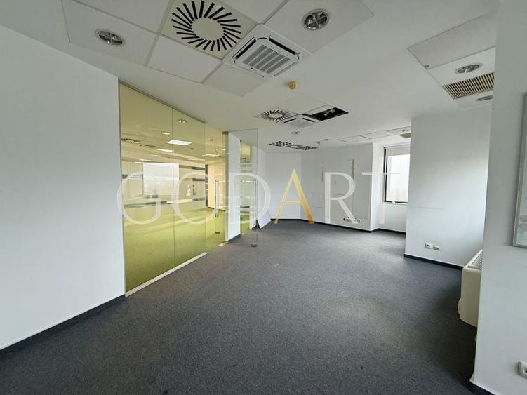 Spațiu de Birouri Premium | Etaj Integral | 455 mp - 6