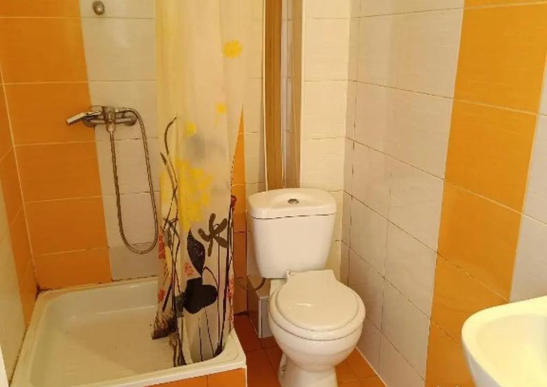 Garsoniera ( ap. 1 camera) Dragos Voda - 7