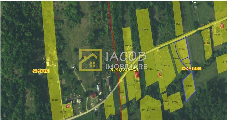 Teren Intravilan-Ideal Investitie-Podis,Margineni,Bacau - 1
