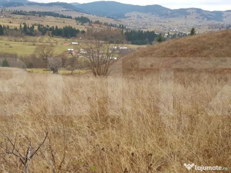 Teren ?aru Dornei 5 hectare - 2