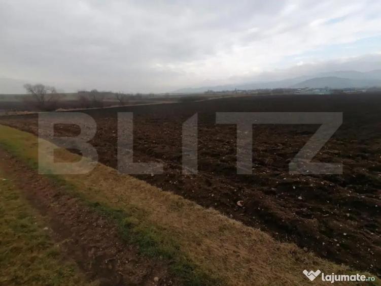 Teren extravilan 21300 mp zona Vintu de Jos - 4