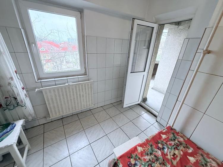 Propietar Drumul Sarii! - 9