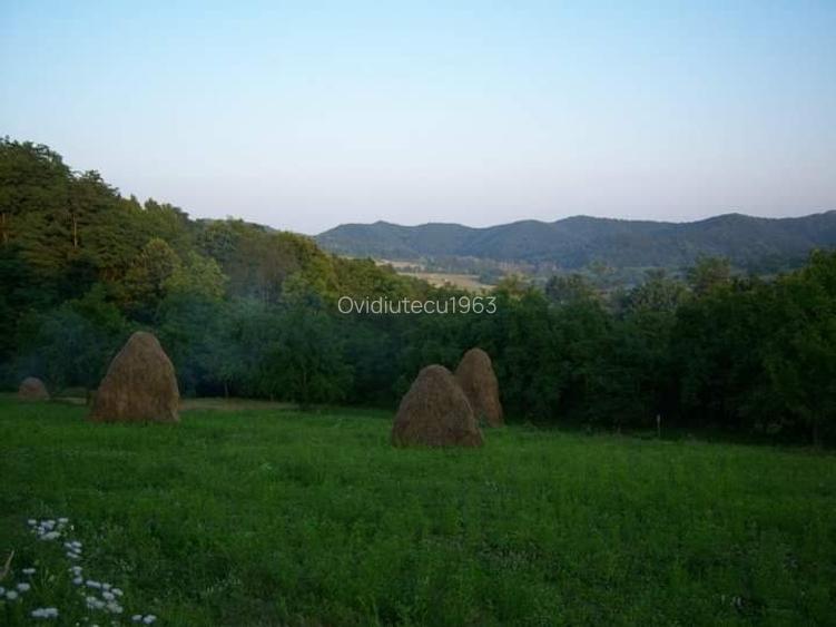 Vand domeniu compus din 8000mp,cu padure ,zona deal-munte Valea iasului Ages Vand domeniu compus din 8000mp,cu padure ,zona deal-munte Valea iasului Ages