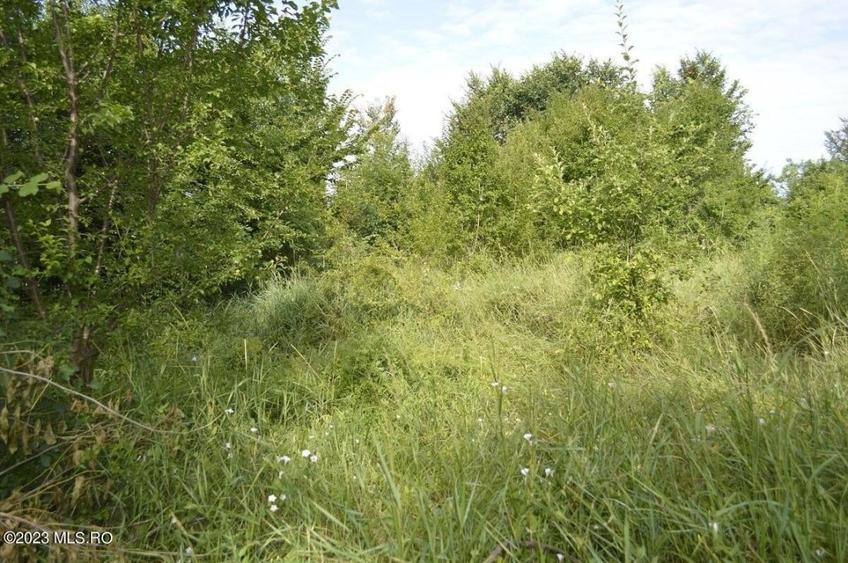 Suseni - Teren intravilan cu casa batraneasca, plan, suprafata 4700 mp! - 20