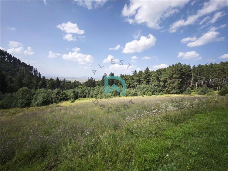 Teren Poiana Angelescu, Sacele, Brasov - 1