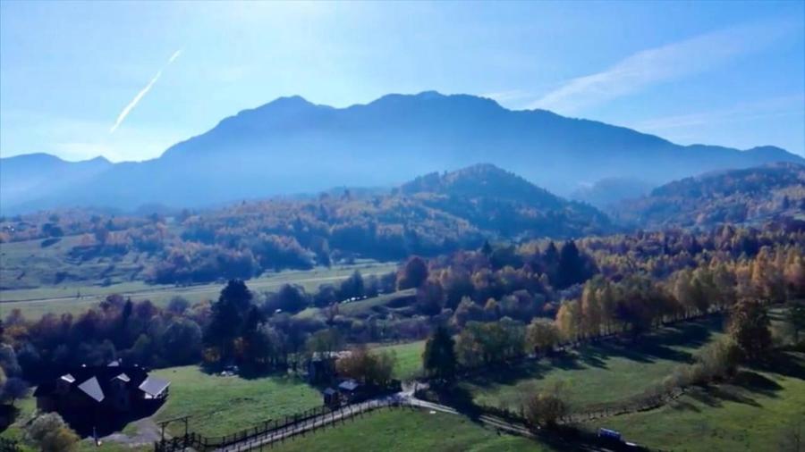 Teren de vânzare, 1433mp Rasnov Glajerie - 2