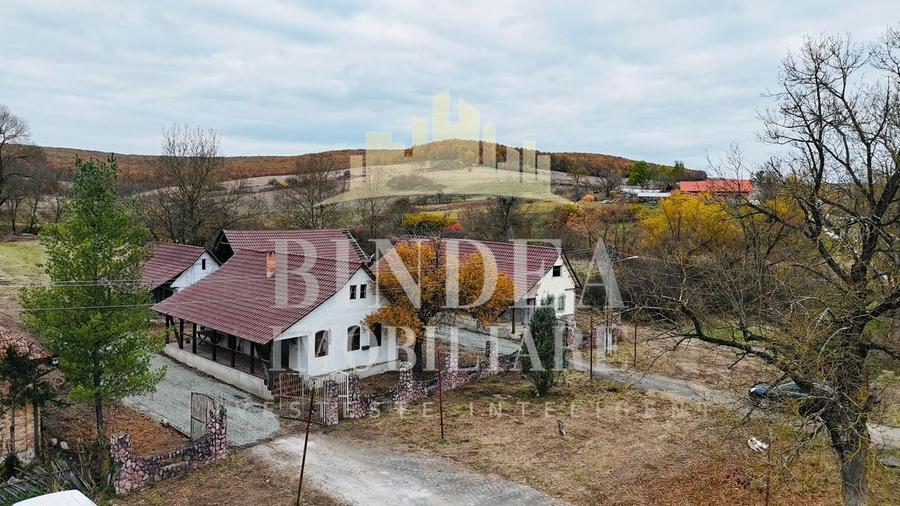 Oportunitate investitie: două reședințe de vacanță/ cabane 3940mp teren - 9