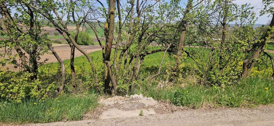 4714mp intravilan, Bradatel Vale, com. Horodniceni, jud. Suceava - 2