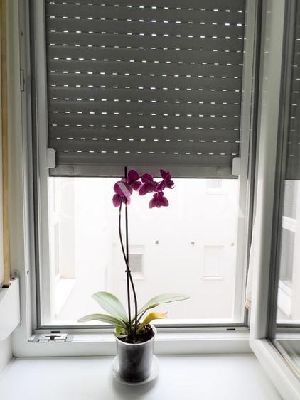 AX793 Dumbravita, Str. Freziei, Mobilat-Utilat - 17