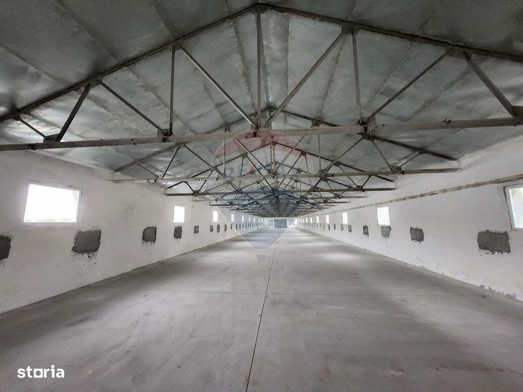 Hale depozitare sau productie Ciorogarla | Darvari 2.2 E/mp - 4