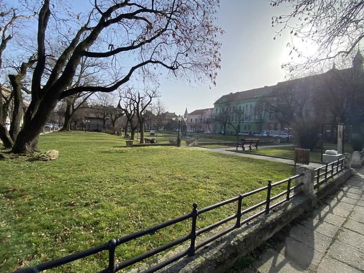 Proprietar inchiriez apartament - Piata Pleveni (langa facultati) - 8