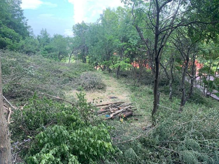 Vand casa 70mp, teren intravilan+extravilan 1000+1900mp, Micesti, Cluj - 3