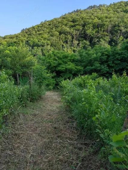 Sarata Bai- Oportunitate investi?ie- 4038 mp- priveli?te spectacol - 6