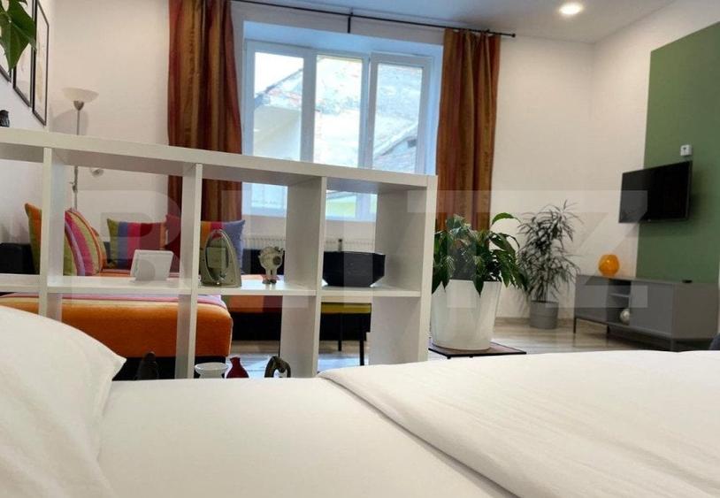 Apartament cu o camera, 43 mp, zona Ultracentrala - 5