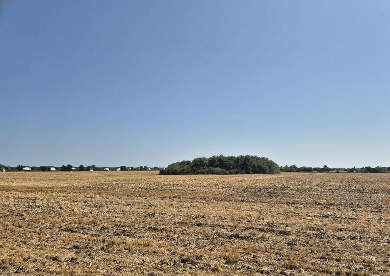 Teren intravilan 4428 mp - Balotesti - 5