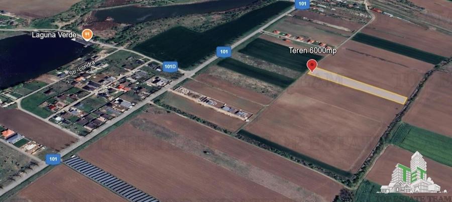 Teren pentru case 6000mp Moara Vlasiei - 1